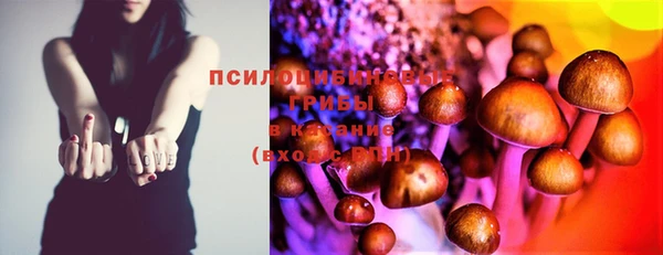 МДПВ Балахна