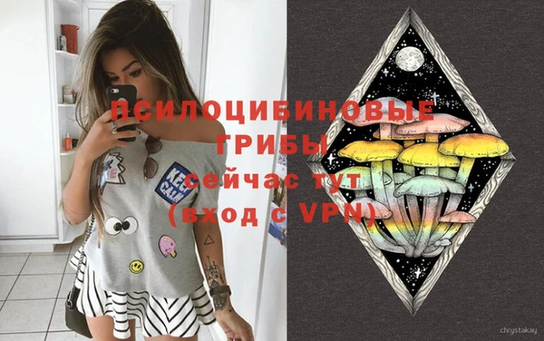 ALPHA-PVP Армянск
